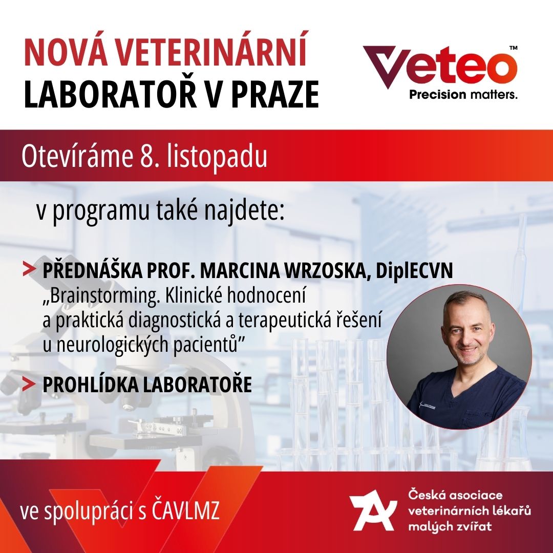 VETEO